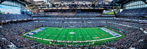 Indianapolis Colts NFL Stadium Panoramics Center View Father's Day By MasterPieces