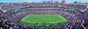 Baltimore Ravens NFL Stadium Panoramics Center View Father's Day By MasterPieces