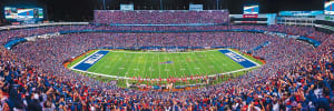 Buffalo Bills NFL Stadium Panoramics Center View Sports By MasterPieces