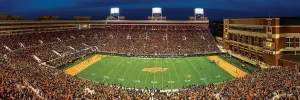 Oklahoma State University Sports By MasterPieces