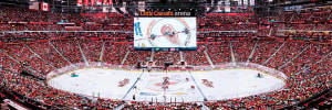 Detroit Red Wings Sports By MasterPieces