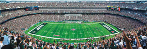 New York Jets NFL Stadium Panoramics Center View Sports By MasterPieces