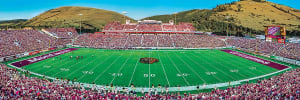 Montana Grizzlies NCAA Stadium Panoramics Center View Father's Day By MasterPieces