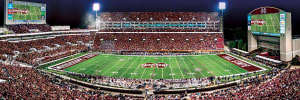 Mississippi State Bulldogs NCAA Stadium Panoramics Center View Sports By MasterPieces