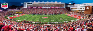 Washington State Cougars NCAA Stadium Panoramics Center View Sports By MasterPieces