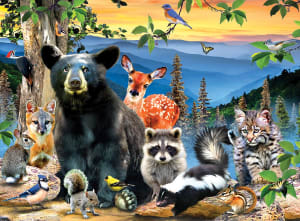 Great Smoky Mountains National Park National Parks By MasterPieces