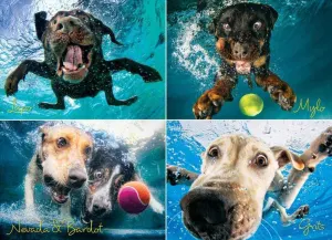 Underwater Dogs:  Splash Photography By Willow Creek Press