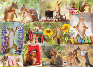 Gettin' Squirrelly Collage By Willow Creek Press