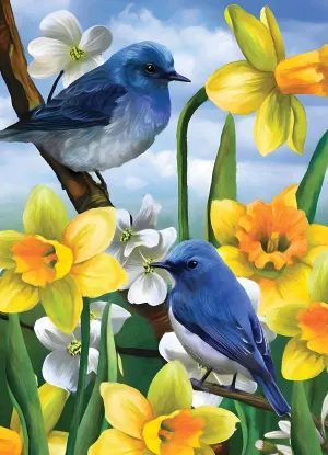 Mountain Bluebirds Birds By Willow Creek Press