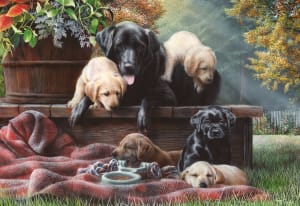 Cozy Moments Dogs By Crown Point Graphics