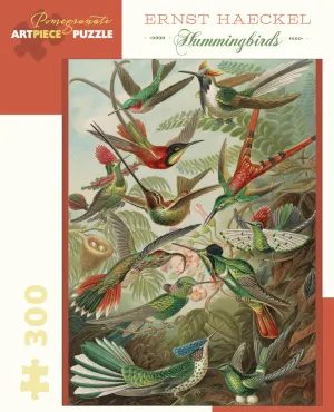Hummingbirds Birds By Pomegranate
