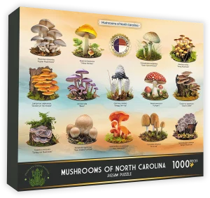 Mushrooms of North Carolina Collage By Highland Creek