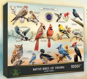 Native Birds of Virginia Collage By Highland Creek
