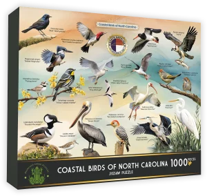 Coastal Birds of North Carolina Collage By Highland Creek