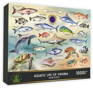 Aquatic Life of Virginia Collage By Highland Creek