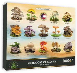 Mushrooms of Georgia Collage By Highland Creek