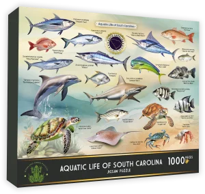 Aquatic Life of South Carolina Collage By Highland Creek