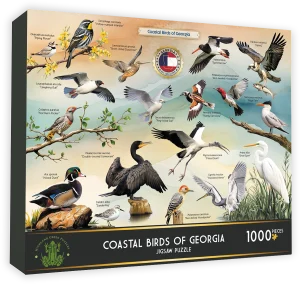 Coastal Birds of Georgia Collage By Highland Creek