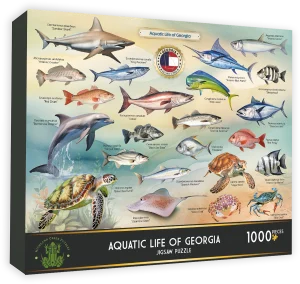Aquatic Life of Georgia Collage By Highland Creek