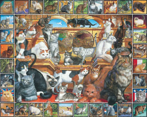 The World of Cats Cats By White Mountain