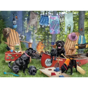 Camping Collection - Camping Labs Camping By Karmin International