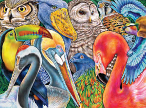 Bird Bonanza Birds By Buffalo Games