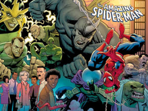 Back to Basics Spider-Man By Buffalo Games