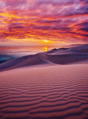 BLANC Series: Socotra Island, Yemen Sunrise & Sunset By Buffalo Games