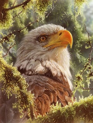 High and Mighty Birds By SunsOut