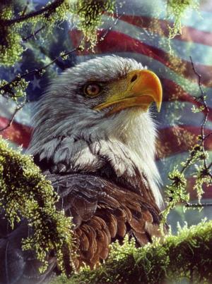 Eagle Colors Fourth of July Jigsaw Puzzle By SunsOut
