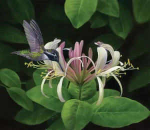 Finding Nectar Flower & Garden By SunsOut