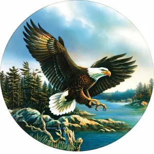 Eagle Landing Nature By SunsOut
