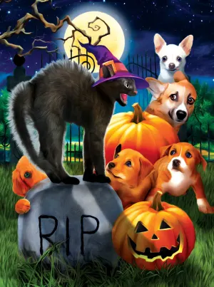 Don't Mess With Kitty Halloween By SunsOut