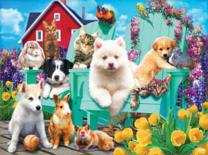 The Bench Team Dogs By SunsOut
