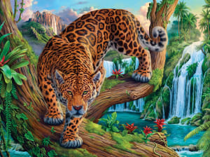 Prowling Leopard Big Cats By SunsOut