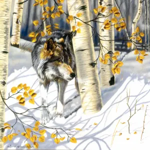 In the Shadows Winter By SunsOut