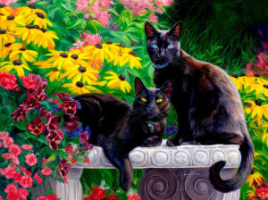 Black Beauties Cats By SunsOut