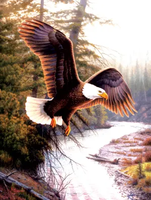 Eagle Patriot Lakes & Rivers By SunsOut