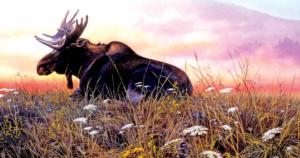 Daybreak Moose Nature Jigsaw Puzzle By SunsOut