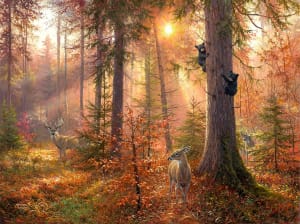 Forest Light Landscape By SunsOut