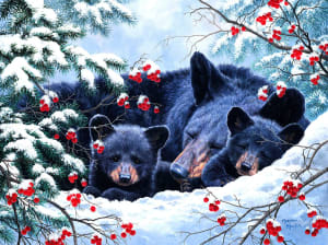 Cozy Bear By SunsOut