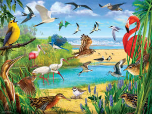 Florida Birds Beach & Ocean By SunsOut