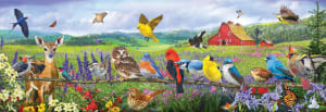 Eastern Birds Birds By SunsOut