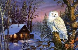 Night Watch Cabin & Cottage By SunsOut