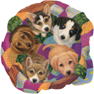 Litter of Puppies Dogs By SunsOut
