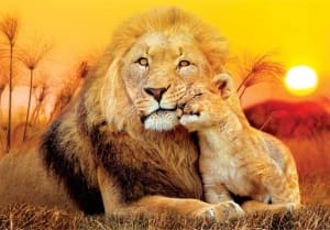 SuperColor 180 - Unexpected Hug Safari Animals By Clementoni