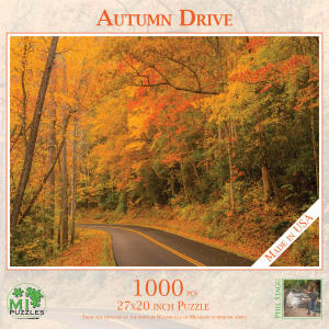 Autumn Drive Photography By MI Puzzles
