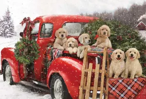 Puppies Holiday Ride Christmas By Vermont Christmas Company