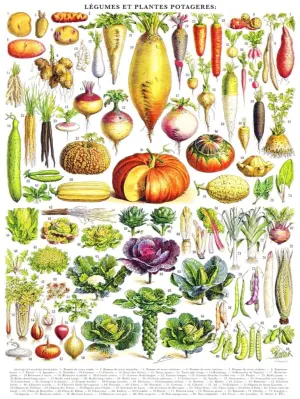 Vegetables Fruit & Vegetable By New York Puzzle Co