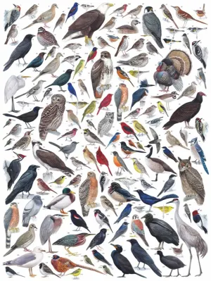 Birds of Eastern/Central North America Birds By New York Puzzle Co